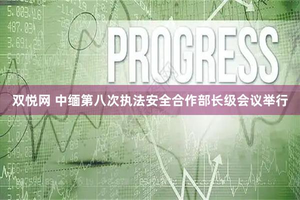 双悦网 中缅第八次执法安全合作部长级会议举行