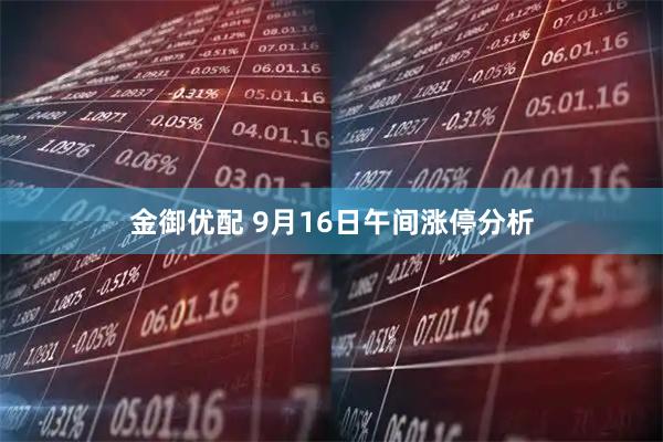 金御优配 9月16日午间涨停分析