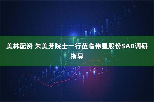 美林配资 朱美芳院士一行莅临伟星股份SAB调研指导