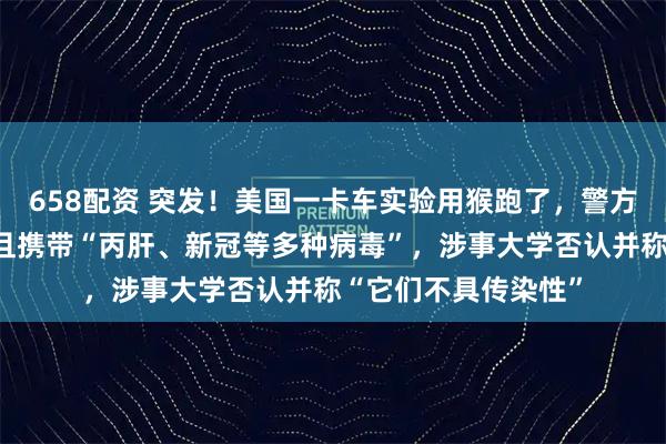 658配资 突发！美国一卡车实验用猴跑了，警方警告：具有攻击性且携带“丙肝、新冠等多种病毒”，涉事大学否认并称“它们不具传染性”